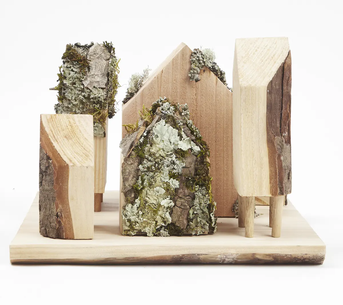 Lichen as bioindicators

Lichen Vs Carbon. These concept models look to document both the current state of Dudley Highstreet and the vision looking towards the future within this thesis project.

The lichen covered model looks towards a future in Dudley that is rich in texture, colour, nature and oxygen. Natural materials promote natural growth, and textures such as rough sawn timber and stone are the prefect hosts for lichen. All new buildings in Dudley would benefit massively from following a fabric first approach and adopt the use of sustainable and recycled building materials along with systems that use minimal energy.

The lichen model represents a vision for this thesis, buildings that are covered in natural materials and lichens that help sequester carbon and promote a healthier Highstreet. Suggestions of raised buildings also proposes less disruption to the ground and natural landscape, giving plants and animals the opportunity to thrive in an otherwise hostile concrete environment. Raised buildings also look towards a future planet with rising sea levels, future factors that will drastically affect the way we carry out daily lives and futureproofing all buildings for generations to come.

This second model uses the Shou Sugi Ban method of charring timber to waterproof it. In this case however it represents the embodied carbon and pollution within the highstreet as it exists now. The simplicity and repetition is also used to symbolise the plain nature of the highstreet with only a few materials exhibited, mainly brick & concrete. Once burnt the timber forms were brushed with wire wool to reveal the natural grain of the wood, a visual representation of degradation of layers of buildings that are built poorly or not constructed to last longer than a generation. - Michelle Gartside Model 6.png